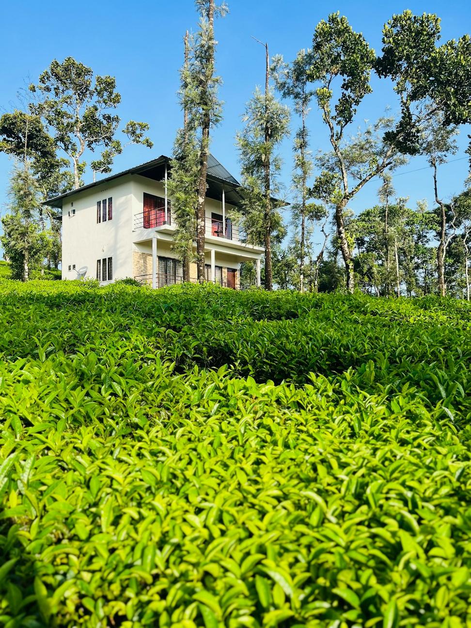 Green architecture
