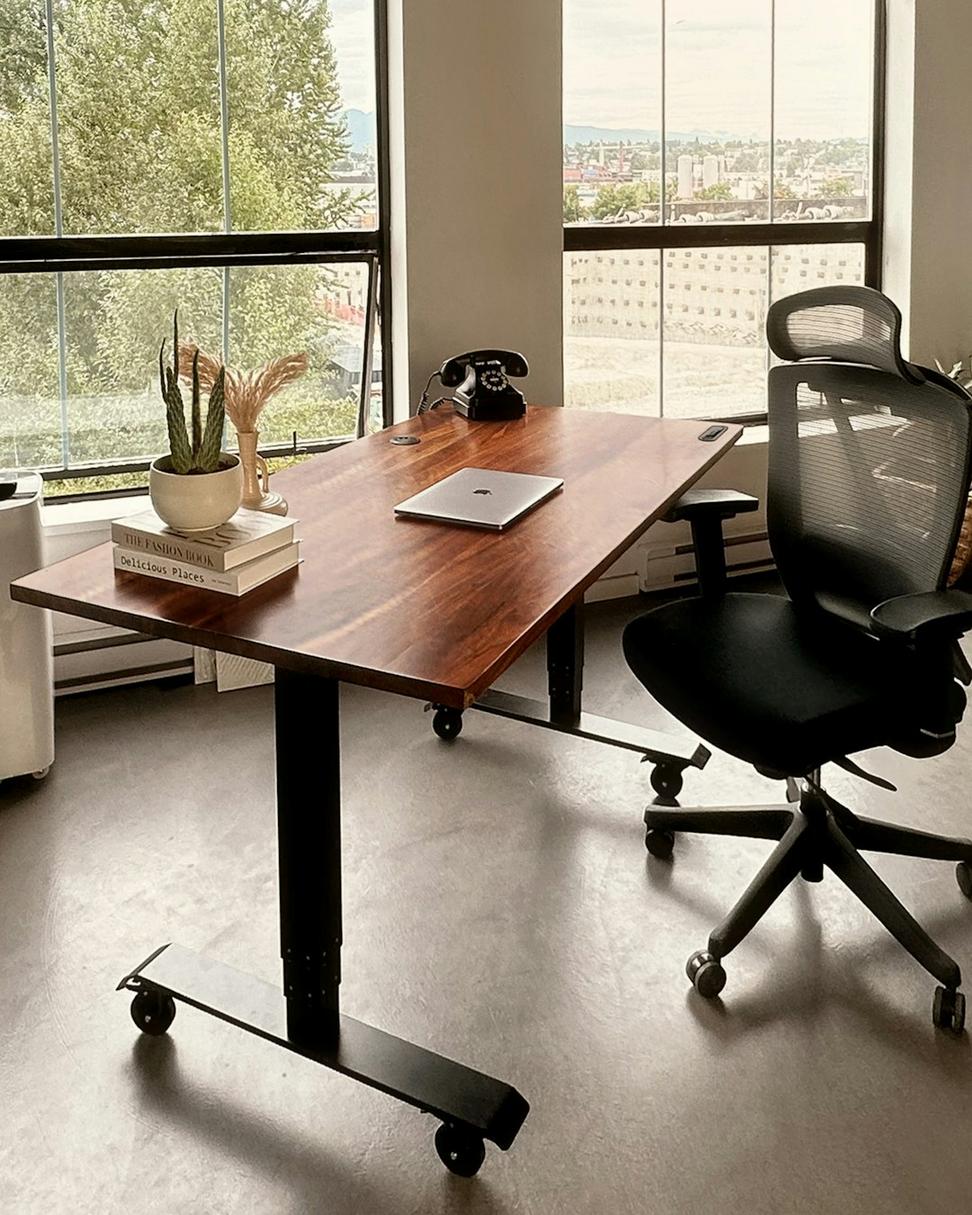 Drakar Valorix Studio