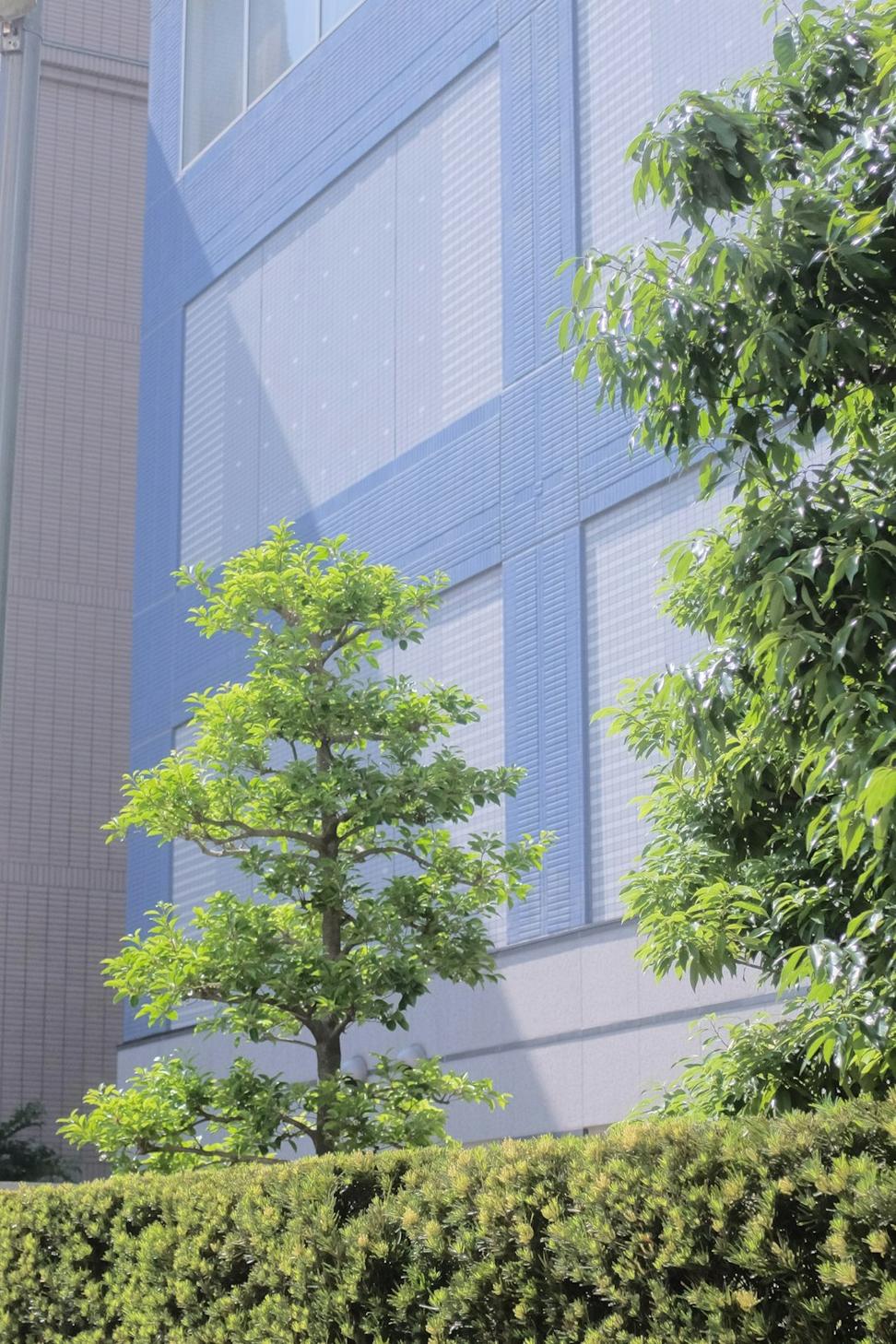 Mississauga Mixed-Use Complex