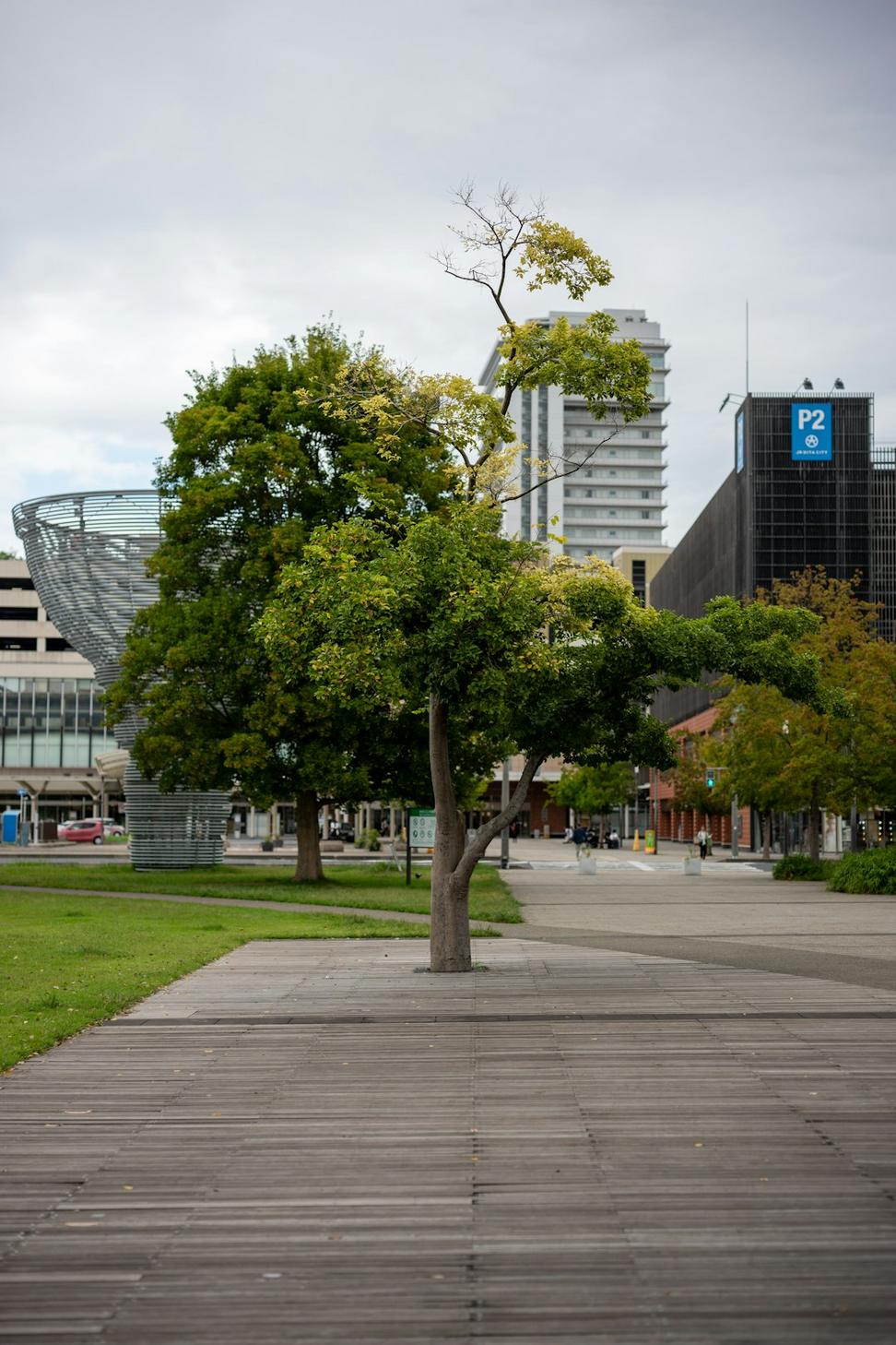 Liberty Village Greenway