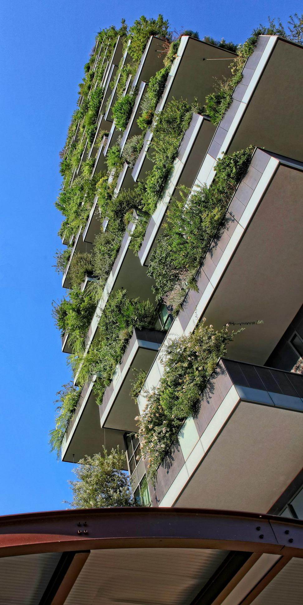 Living Roofs