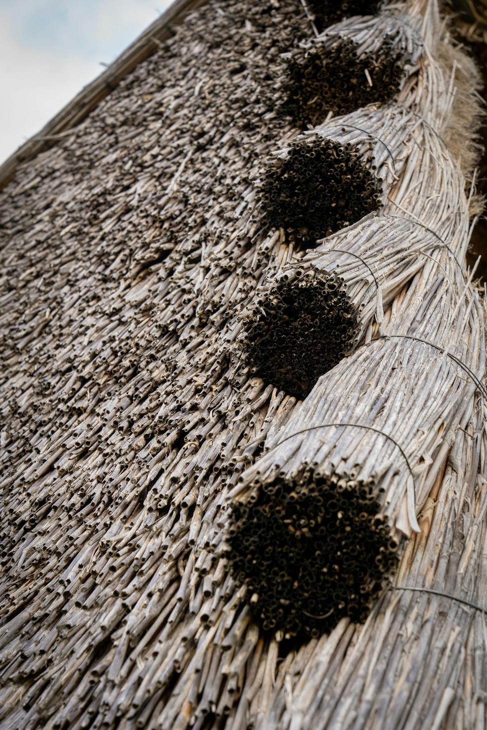 Natural Insulation